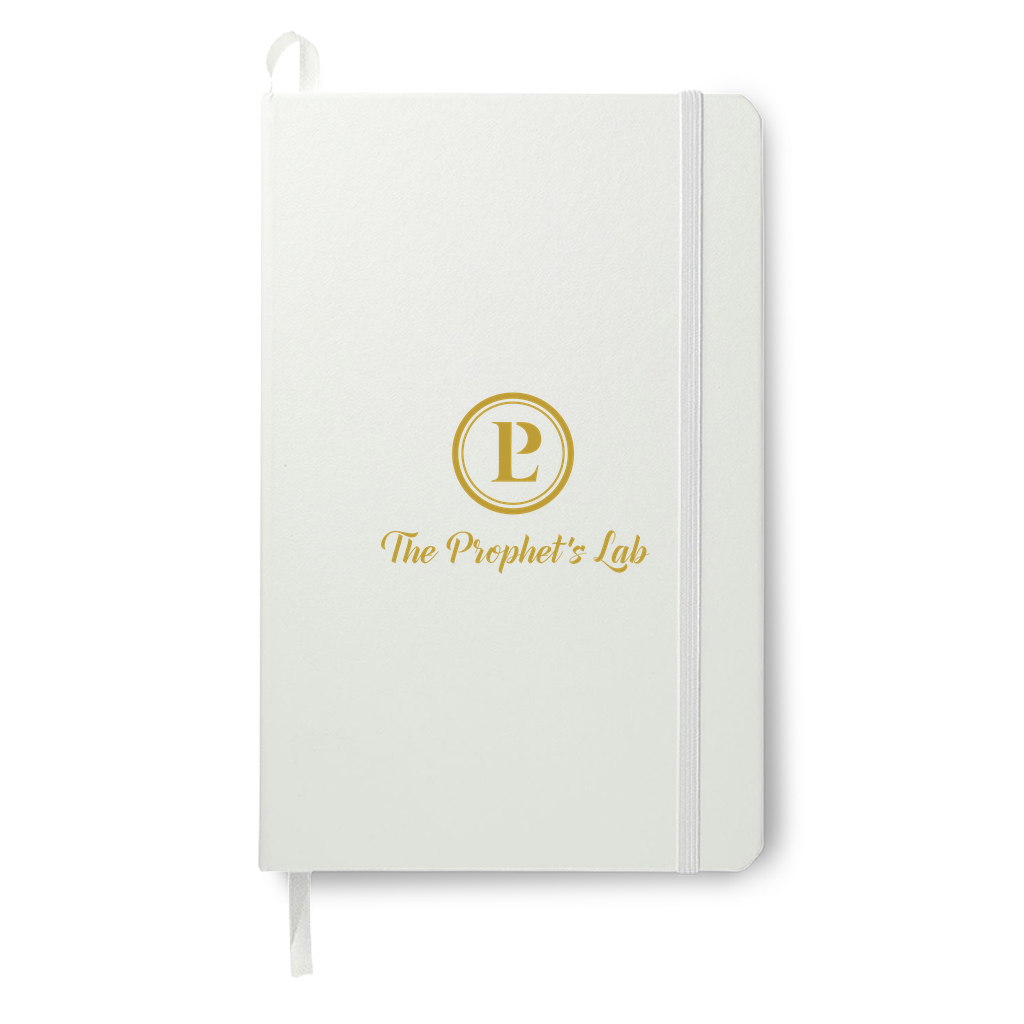 Prophets Lab Journal