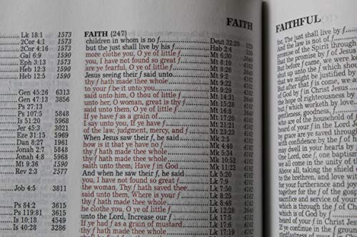 The New Strong's Expanded Exhaustive Concordance of the Bible