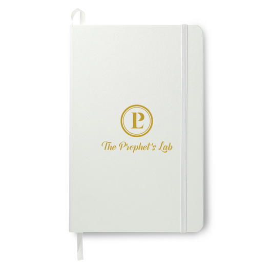 Prophets Lab Journal