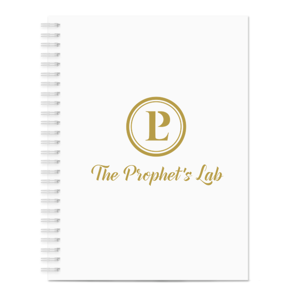 Prophets lab Notebooks