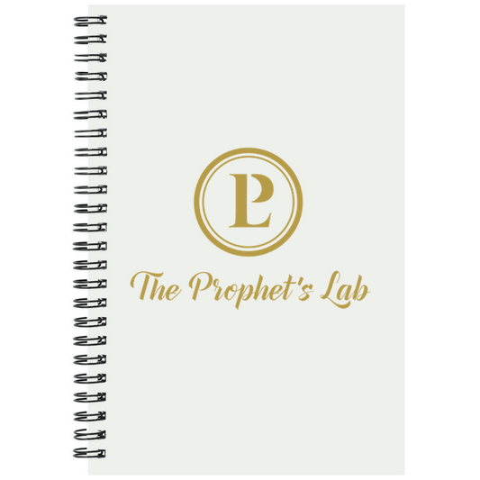 Prophets lab Notebooks